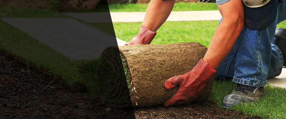 Hot Springs National Park Landscapers